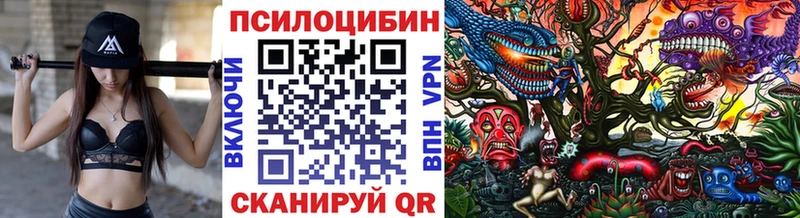 Галлюциногенные грибы Psilocybine cubensis  Петушки 